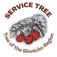 Bearers of Service Tree