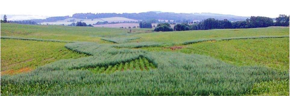 Dobrý zemědělský a environmentální stav stav DZES 5 (pokračování) Půda mírně erozně ohrožená (MEO): erozně