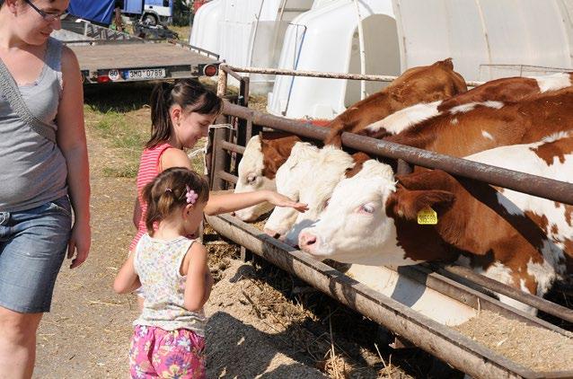 A za vším stojí žena Ing. Zlata Mádrová, která dává farmě nejen své znalosti a veškerou energii, ale také jméno. Jak jste se dostala k farmaření?