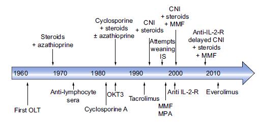 Imunosupresivní léčba Timeline of immunosuppression and immunosuppressive protocols 1 Despite a rapid evolution of immunosuppression during the 1980s and 1990s, CNIs are still central to current