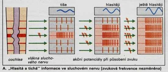 Určení hlasitosti zvuku