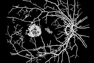 Obr. 6.
