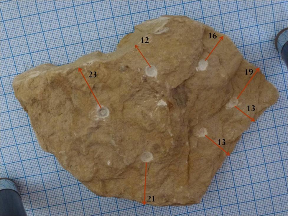 Obr. 6.