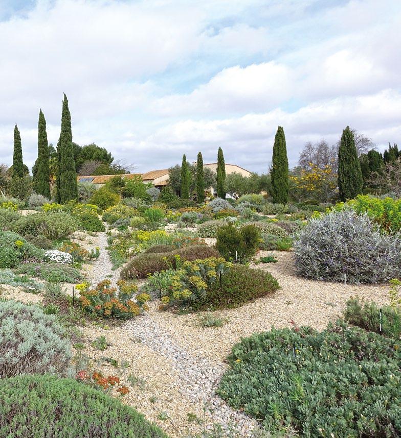 Experimentální suchá zahrada Oliviera Filippiho ve Francii, kde jsou