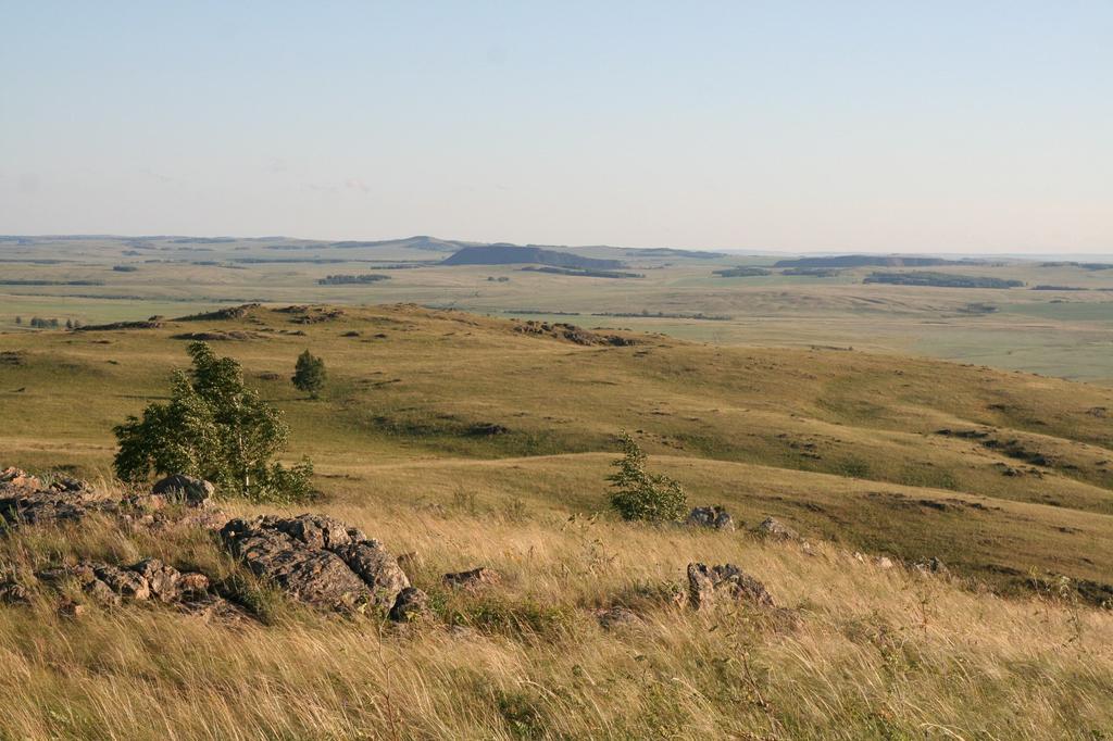 Stepní krajina charakterem pravděpodobně odpovídající prostoru střední