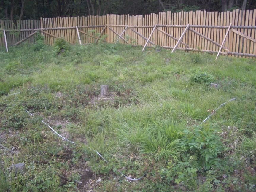 do 30-50 m od zdroje diaspor) Návrat invazních druhů Šíření expanzivních klonálních druhů (třtina křovištní, ovsík vyvýšený