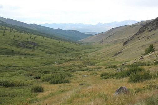 Stepotundra