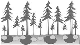 21.4.2016 Struktura lesa prostorová vertikální Zápoj se tak může posuzovat i ve smyslu vertikálním, kdy nejde o přímý dotyk větví Cíle v PL Cíle v pěstění lesů korun, ale vzájemnou polohu korunových