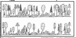 cílová struktura lesa v dospělosti Ø Hospodářský cíl obnovní cíl + pěstební cíl + technologie + ekonomika skladba dřevin hlavních, pak ostatních forma smíšení věkové uspořádání prostorová výstavba