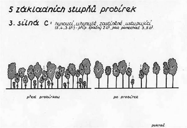 porostní úrovně. Ustupující, popř.