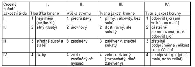 probírky - Dánská, Francouzská A stromy hlavní s kvalitním kmenem a úměrně velkou, pravidelnou korunou (nadějné stromy) je to šířeji chápaná kategorie budoucích cílových stromů B vedlejší škodlivé