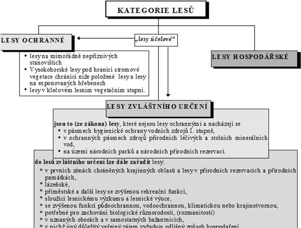 návrh sledu pročistka, probírka, Korpeľ (1991) Schéma tvorby pěstební koncepce pěstební úvahy Ekonomika Hodnotová produkce? LT, SLT, HS?