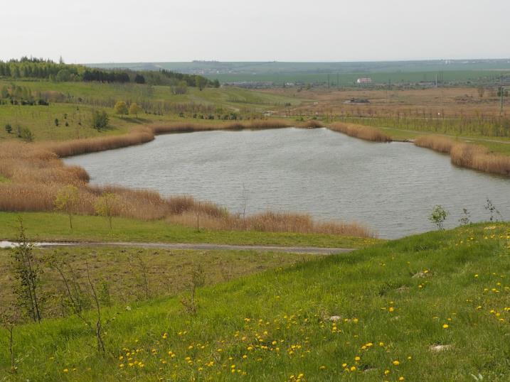 A) Rekultivační vodní nádrže (Artificial ponds) jde o vodní nádrže cíleně