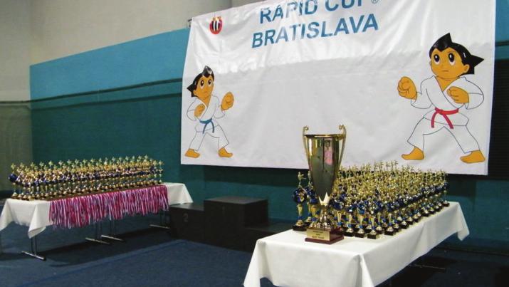 CHRÁNIČE PRE VŠETKY KATEGÓRIE KUMITE SÚ POVINNÉ CHRÁNIČE ZUBOV, RÚK, HOLENÍ A PRIEHLAVKOV. APROBOVANÉ WKF CHRÁNIČE, CHRÁNIČE TVÁRE, HRUDE, TRUPU A SUSPENZORY SÚ ODPORÚČANÉ.
