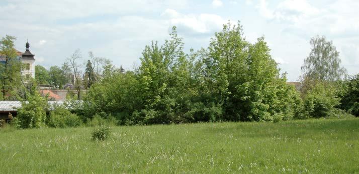 v roce 206. Foto Tomáš Sládek. Obr. 4.