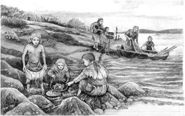 Zvelebil 2008 využívání zdrojů a hospodářství alternativa agro