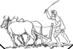komunitní areály paleoenvironmentální rekonstrukce pylové profily indikátory změn podoba krajiny off site (non site)