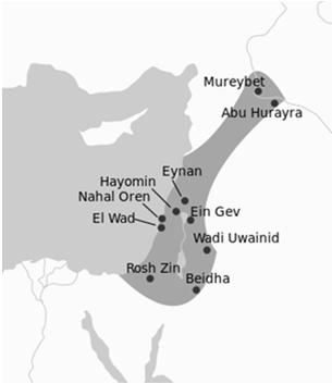 Mladší natufien (11 000 9500 BC) (mobilita skladování směna) Mladší dryas chladné a suché klima, konfrontace se zmenšováním
