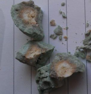 V rentgenogramech vzorků byly identifikovány níže uvedené minerály: - anhydrit II, CaSO 4 (d hkl = 3,87, 3,49, 3,118 Ǻ) - volné vápno, CaO (d hkl = 2,778, 2,405, 1,701 Ǻ) - belit, β 2CaO.