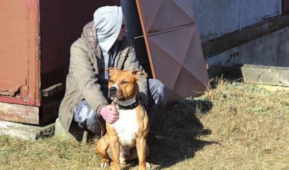sk 048 01 Rožňava LAMAR, Akademika Hronca 3,