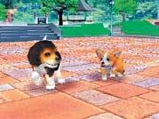 Když se objevila první videa z nejnovějšího hitu japonského herního génia Shigeru Miyamota Nintendogs pro NDS, zkoprněla celá rodina včetně psa.