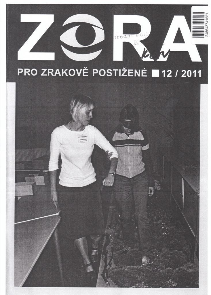 Příloha č.