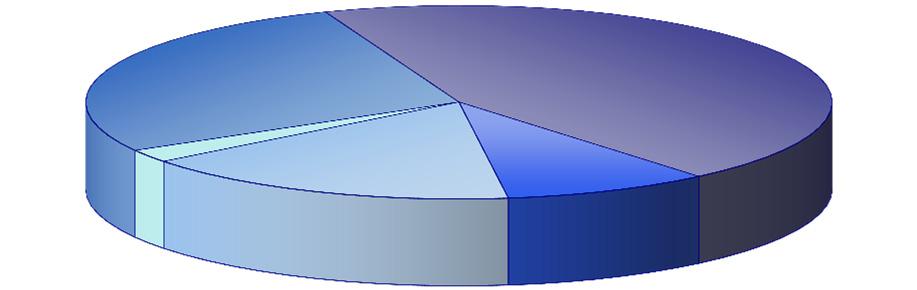 Struktura lůžek v nemocnicích podle zřizovatele Structure of hospital beds by founder MZ ČR MH CR 27,5 % kraj region 44,8 % ostatní centrální orgány other central government organs 2,2 % církev, jiná