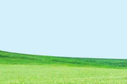 Co je co v golfu Chcete-li se v golfu zorientovat, měli byste si osvojit také golfový slovníček. Nabízíme pár výrazů, které vám postačí jako základ pro golfové začátky.