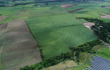 North Negros BioPower Dosah dodávky Věřitelův technik Pojistitel (poměr krytí) North Negros Biopower Inc. zemědělsko-průmyslové pozemky, Barangay Sta.