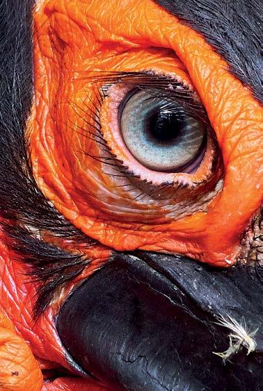 Informace o činnosti Dozorčí rady Zoo Liberec Informace o činnosti Dozorčí rady Zoo Liberec V roce 2017 pracovala Dozorčí rada Zoo Liberec ve složení: Vít Kyzlink předseda Pavel Felgr Mgr.
