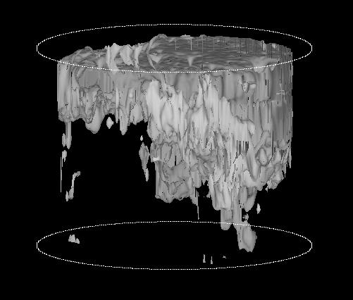 chromatographic transport model