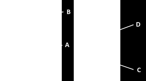 6) at the required depth by means of the two nuts O, placed on the flat grinding unit. 14.2.6 Control panel A B C D Oscillation switch Emergency button cap. Actuated by pressing.