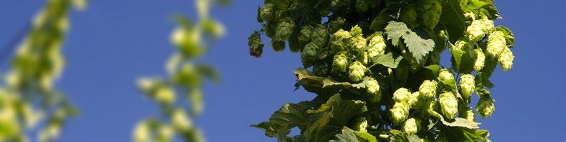 Platba pro zemědělce dodržující zemědělské postupy příznivé pro klima a životní prostředí (Greening) Platba pro zemědělce dodržující zemědělské postupy příznivé pro klima a životní prostředí