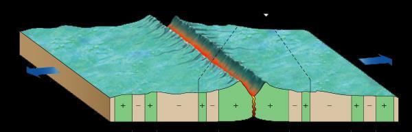 Paleomagnetismus Orientace a poloha magnetických polí nejsou stálé a v průběhu geologického