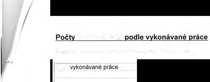 Počty zaměstnanců podle vykonávané práce V roce 2017 strana nezaměstnávala žádné osoby.