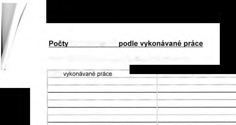 I Počty zaměstnanců podle vykonávané práce V roce 2017 strana nezaměstnávala žádné osoby.