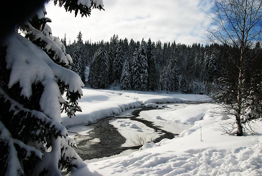 VÍTEJTE V NÁRODNÍM PARKU ŠUMAVA Vážení návštěvníci, PROGRAMY PRO