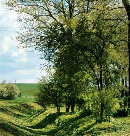 , Brno branch Keywords: erosion erosion control measures flood protection measures natural water retention measures A complex system of flash flood