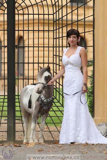 Několikanásobný Šampión a Grand šampión Jacky Stable So Amazing *21.4.