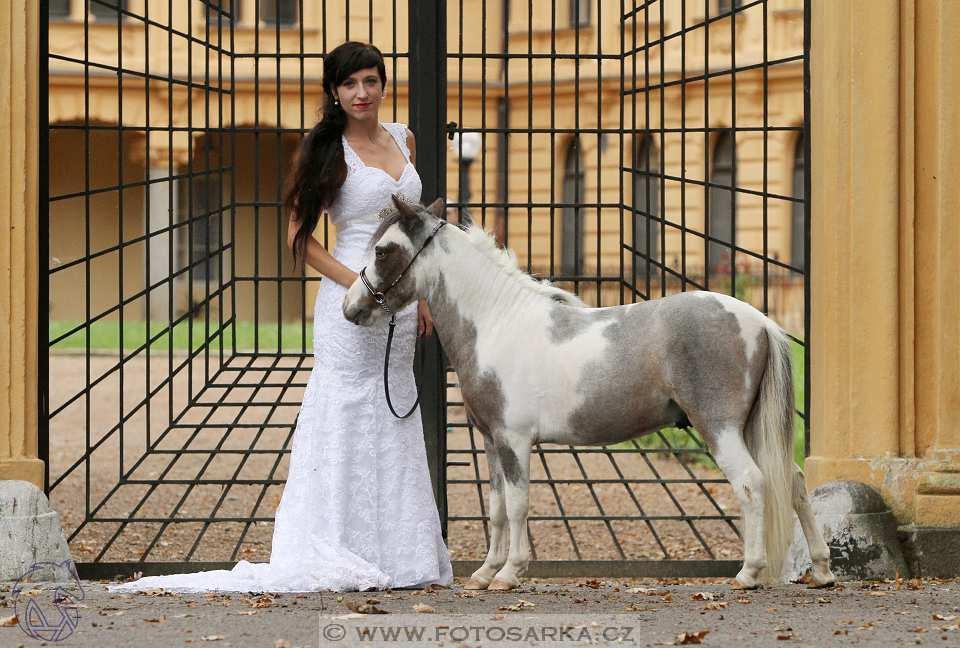 Stay Awhile Chovatel: Jacky Stable ( JS) Netherlands Majitel: Cavalletto