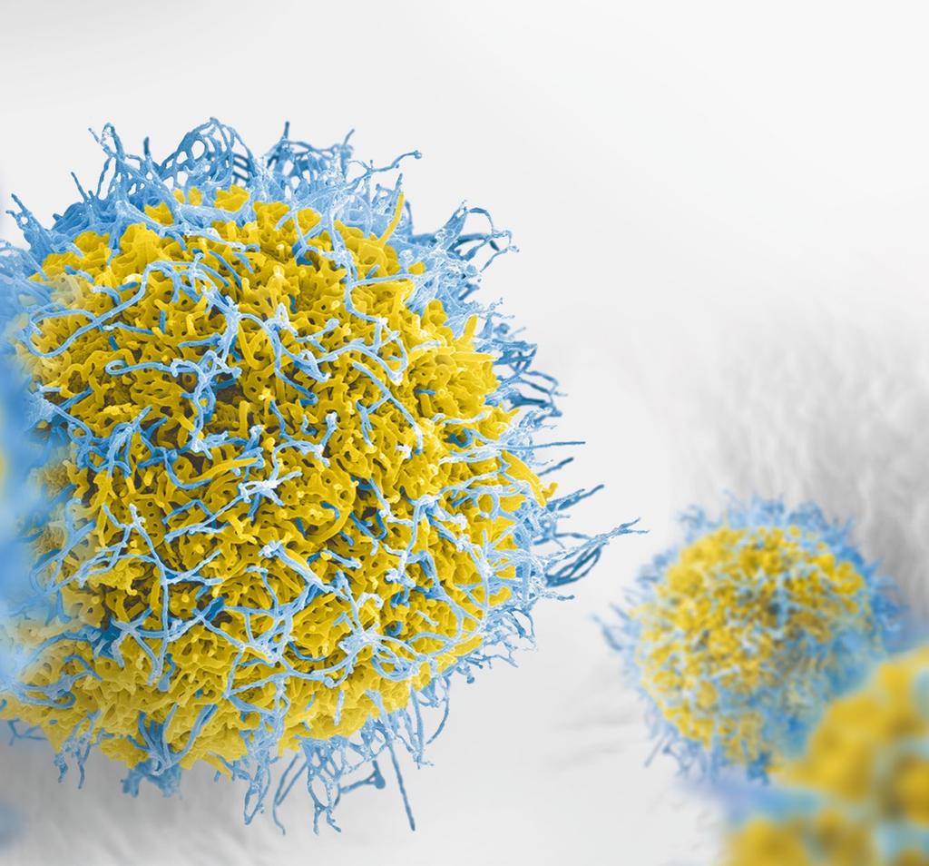 Hematologické analyzátory XN Vědět více. Rozhodnout se s jistotou. Jednat rychleji.