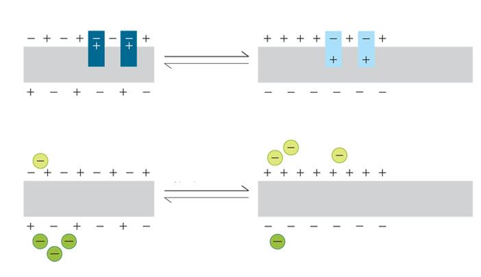4. Napěťově závislá barviva Optická měření membránového potenciálu pomocí napěťově citlivých barviv jsou prospěšná v mnoha různých podmínkách. Jednou z výhod je měření z mnoha míst najednou.