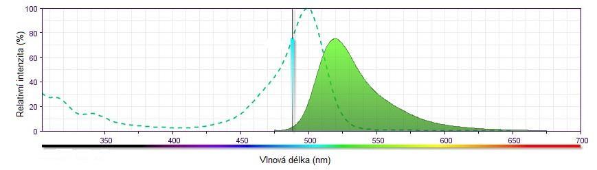 Na phalloidin se naváže Alexa Fluor 488, která vykazuje intenzivní zelenou fluorescenci se značnou fotostabilitou [7].