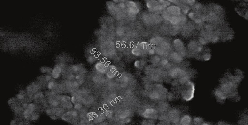 mikroskopie (Wet-STEMSTEM) Detekční systémy signálních elektronů a fotonů Energiově disperzní rentgenová spektroskopie Počítačové simulace pro EREMREM Micro a nano
