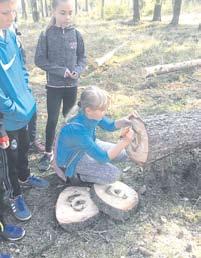 PODBRDSKÉ NOINY 10 HOŘOICKO STRANA 5 Z HOŘOICKÉ RADNICE Poslední jednání rady města Hořovice se konalo ve středu 2. května.