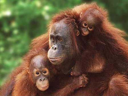 3 million years ago.