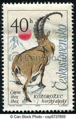 Austria in 1901 (Greig 1979). However, some years later, bezoars (C. i. aegagrus) from Turkey and the Nubian ibex (C. i. nubuana) from Sinai were added to the Tatra herd.
