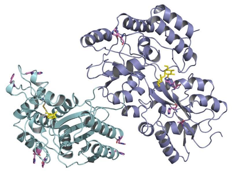 LC/MS a CE/MS v proteomické analýze OBSAH Příklad jednoduché analýzy Separční techniky MS techniky Identifikace proteinů Určení