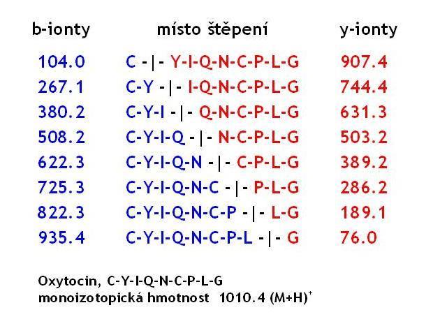 MS/MS sekvenování V CID MS/MS spektrech se vyskytují série b a y iontů.