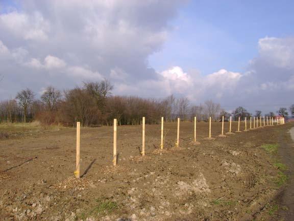 stavebního materiálu. Dnes jsou tyto těžební prostory opuštěné nebo zrekultivované.